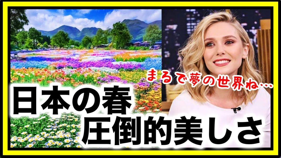 【海外の反応】感動!まるで天国!日本のある光景が凄すぎると外国人がネット上で大反響!!【koara koara】