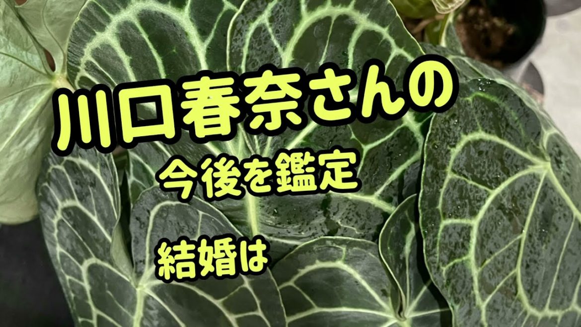 【五行陰陽姓名判断】川口春奈さん、結婚は？勝手に鑑定致しました