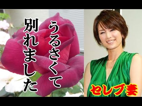 吉瀬美智子さんが離婚 セレブ妻に何が有ったのか?「寝室」での信じられない出来事に驚き 吉瀬美智子さんが離婚 セレブ妻に何が有ったのか?「寝室」での信じられない出来事に驚き