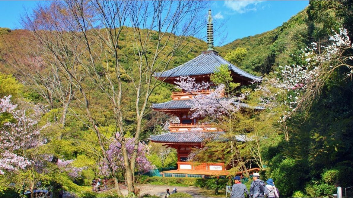 桜の清水寺三重の塔