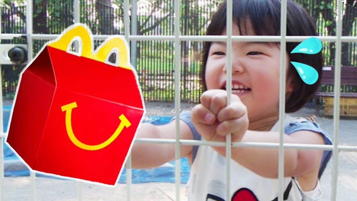 ハッピーセットが盗まれた!?犯人はだれ？ごっこ遊び！Happy meal thief pretend play!