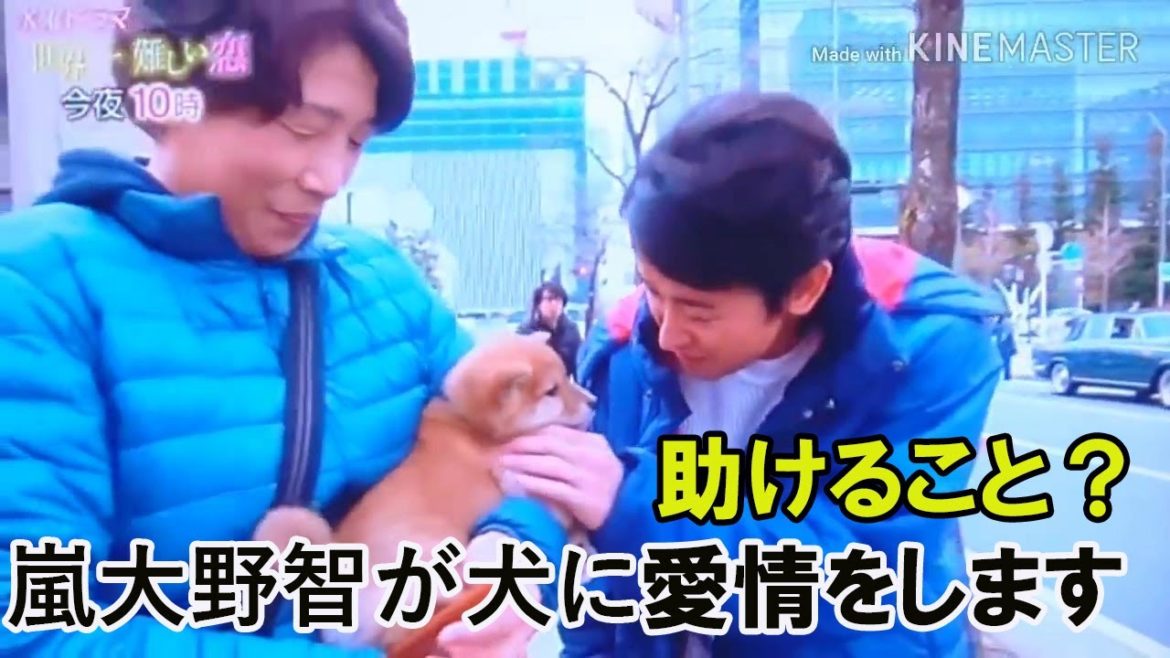 嵐大野智が犬を死から救った。オーナーの意外な反応