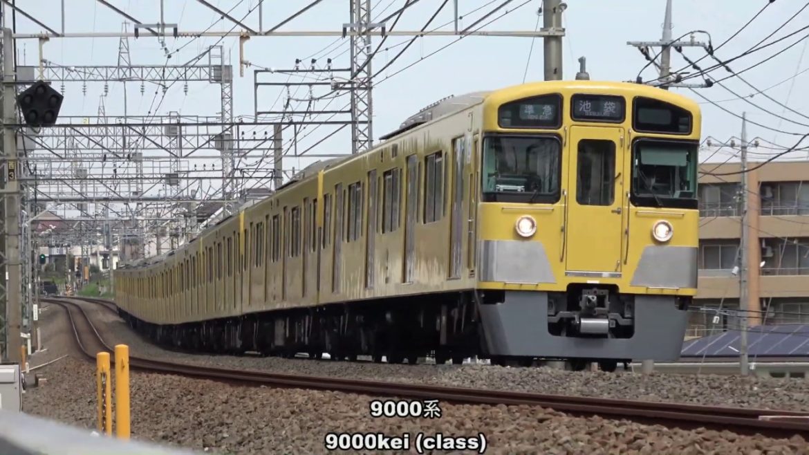 西武池袋線西所沢付近で電車と桜を撮影 私鉄撮影 Sakura and train. Seibu-ikebukuro-Line is Japanese private a railway