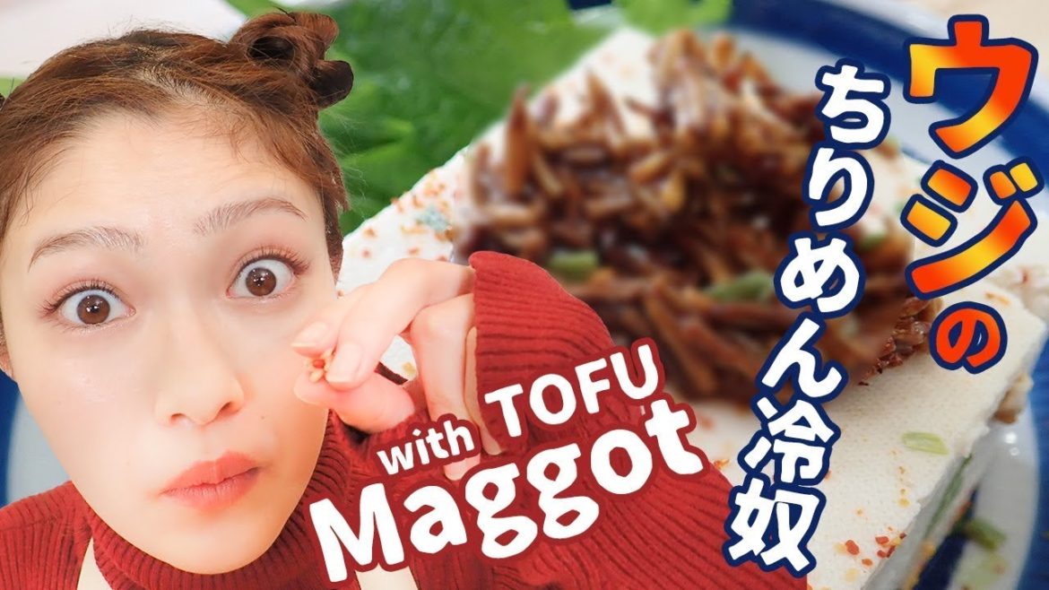 【観覧注意🐛】でも実はとっても食べやすい！ウジのちりめん冷奴｜昆虫食｜井上咲楽