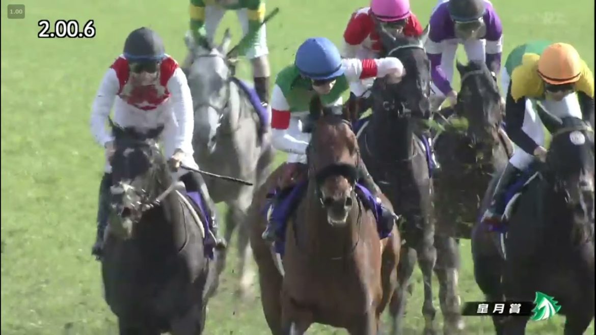 皐月賞2021　エフフォーリア これが本当のプロの実況だよ