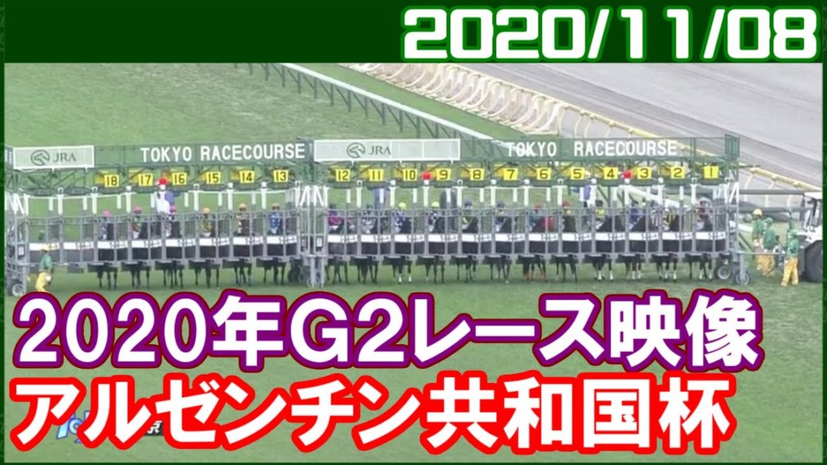 [G2結果] アルゼンチン共和国杯 ～1番人気はユーキャンスマイル／2020年11月8日