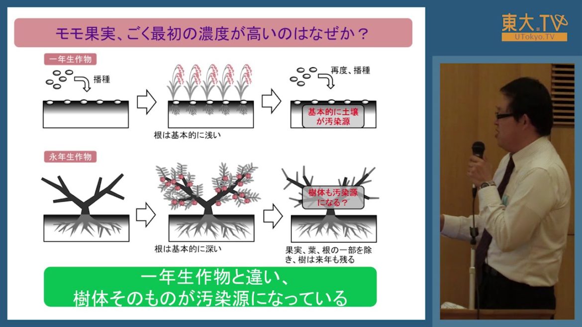 高田大輔「福島原発事故後6年間でモモのセシウム含量はどう変わったか？」―第13回放射能の農畜水産物等への影響についての研究報告会