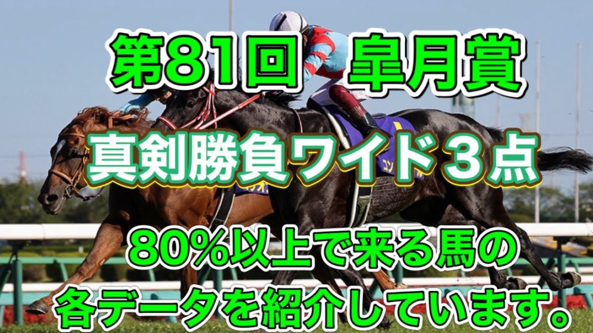 皐月賞2021 ワイド予想　過去26年分のデータから3着以内の確率が高い馬を導きます。