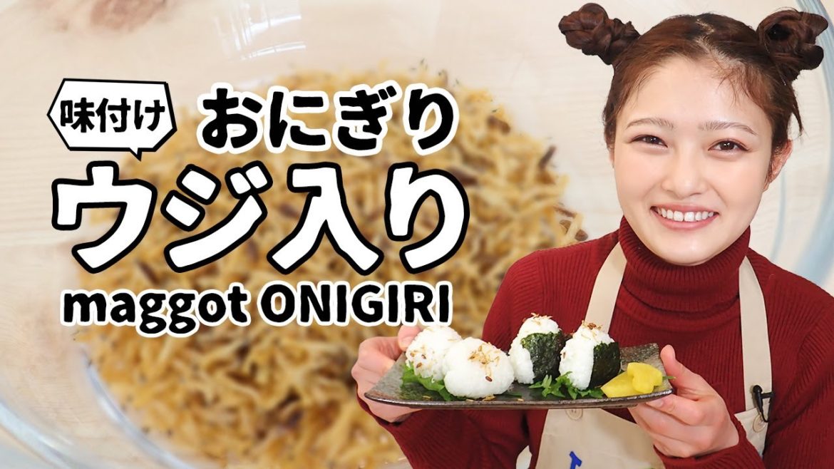 【新感覚】パラッとウジちゃんトッピング　マゴットおにぎり｜昆虫食｜井上咲楽