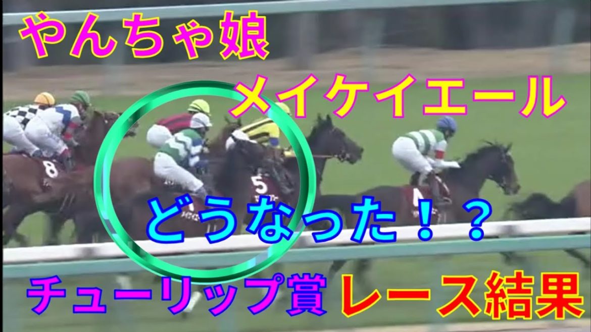 【競馬】チューリップ賞2021レース結果　武豊騎手とメイケイエールはどうなった！？2番人気はタガノディアーナ　3番人気はエリザベスタワー