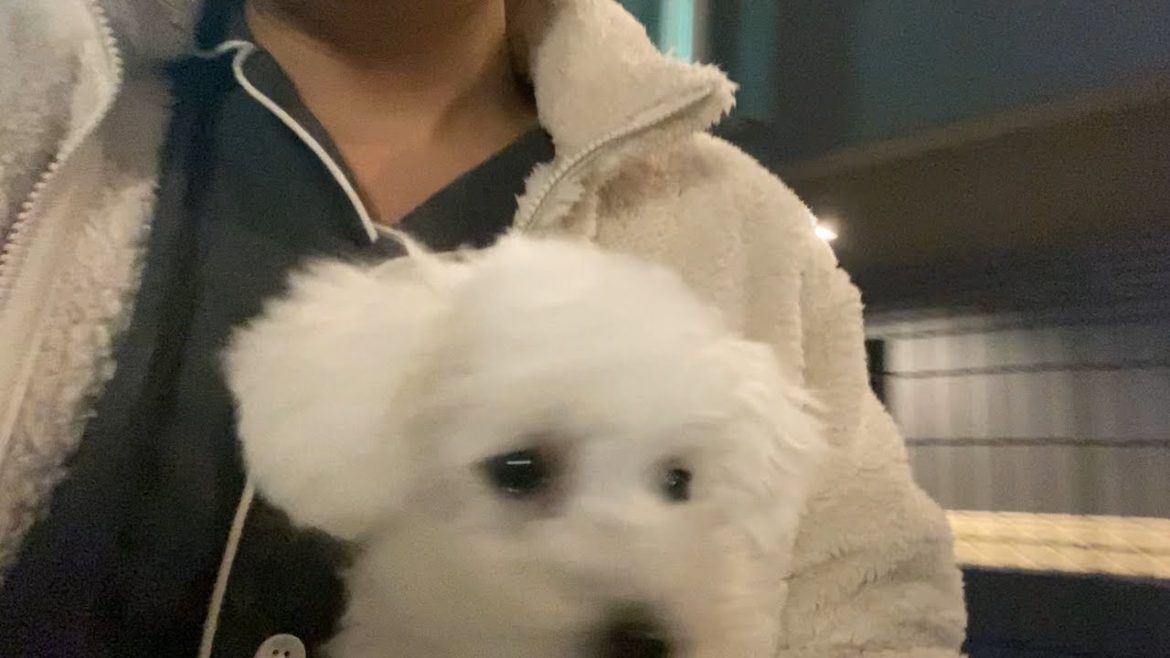 【※音量注意】深夜1時にマンションが火事になりました 【※音量注意】深夜1時にマンションが火事になりました