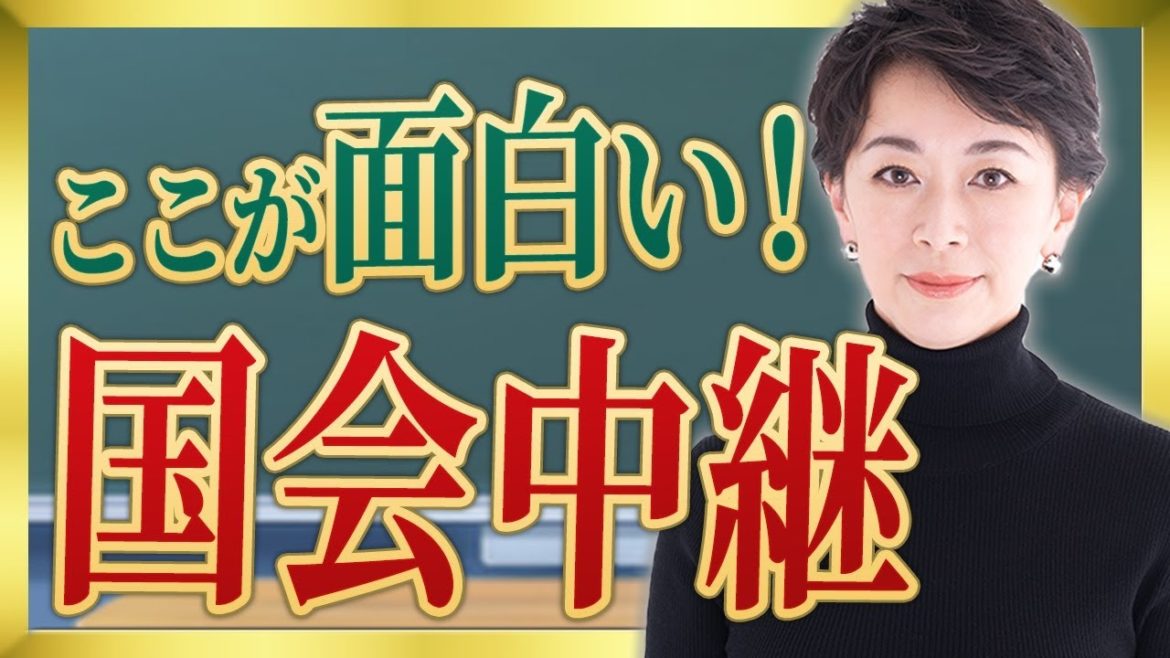 ここが面白い！国会中継