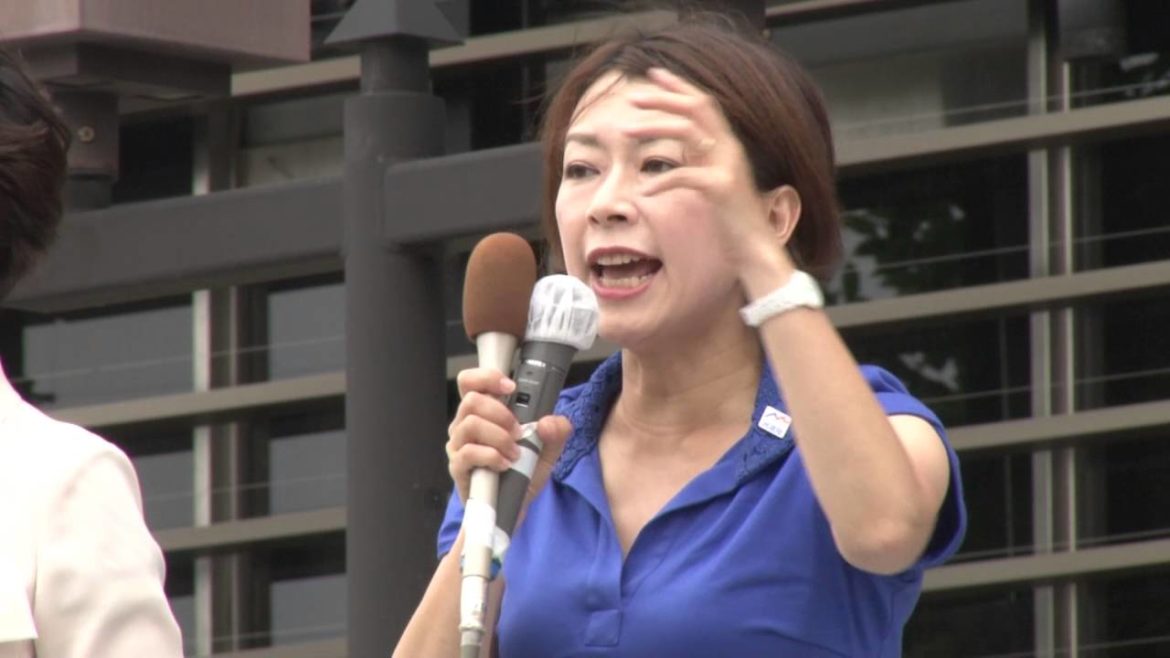 【参院選2016】民進党・山尾志桜里政調会長（神奈川県・かねこ洋一応援）2016年7月2日