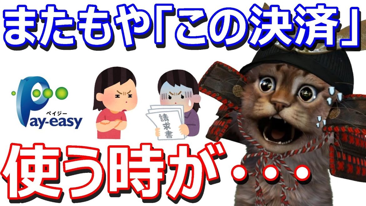 ペイジー(Pay-easy)で20万円分国民年金保険料を支払ったみた。キャンペーンの参加方法も解説