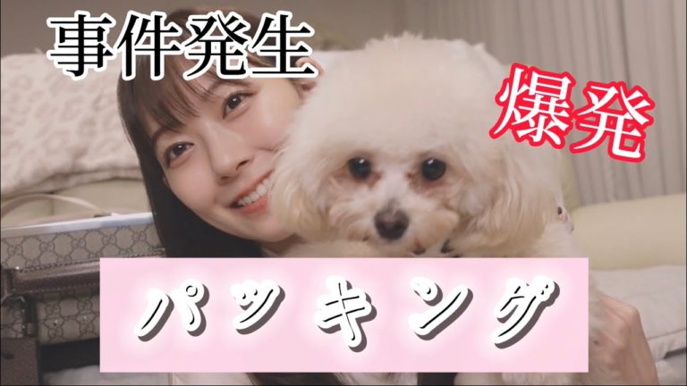 愛沢えみり News Wacoca Japan People Life Style 愛沢えみり News Wacoca Japan People Life Style