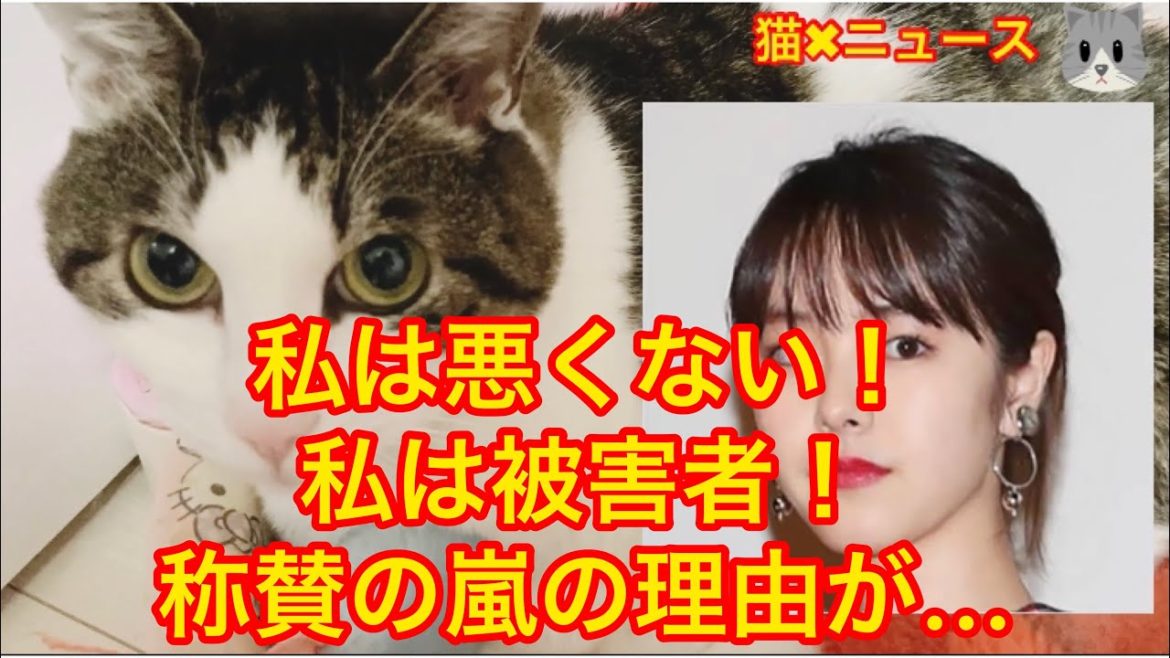 唐田えりか芸能活動復帰!称賛の嵐がヤバすぎた (唐田えりか 芸能活動再開 ステルス復帰 会見無し 東出昌大 不倫 誹謗中傷 炎上 トレンド バズり 猫✖︎ニュース)#281 唐田えりか芸能活動復帰!称賛の嵐がヤバすぎた (唐田えりか 芸能活動再開 ステルス復帰 会見無し 東出昌大 不倫 誹謗中傷 炎上 トレンド バズり 猫✖︎ニュース)#281