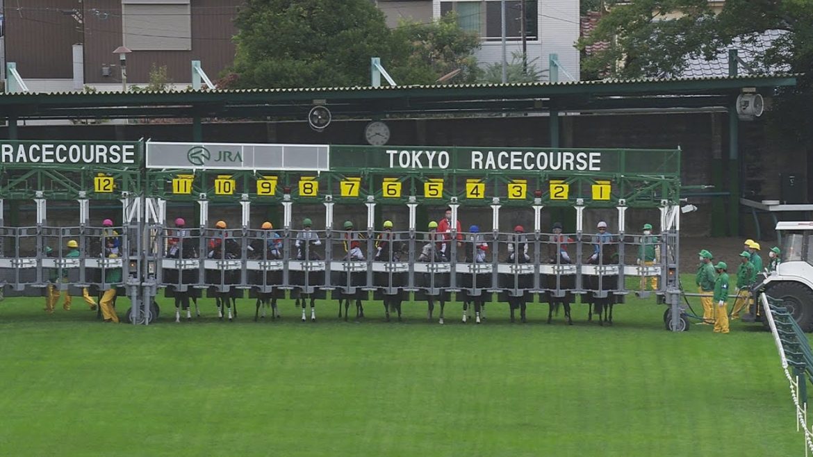 2020 天皇賞（秋）