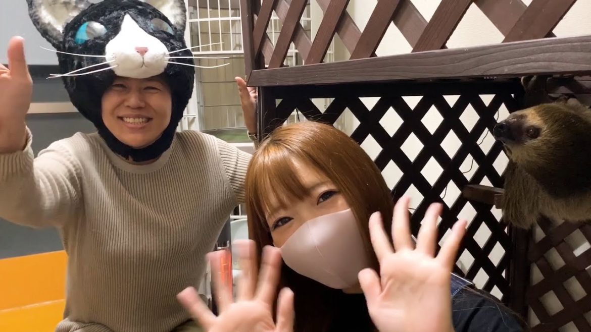 青木さやかさんにナマケモノと触れ合ってもらいました