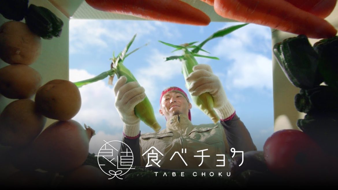 食べチョク TVCM「農家漁師のワオボックス篇１５秒」