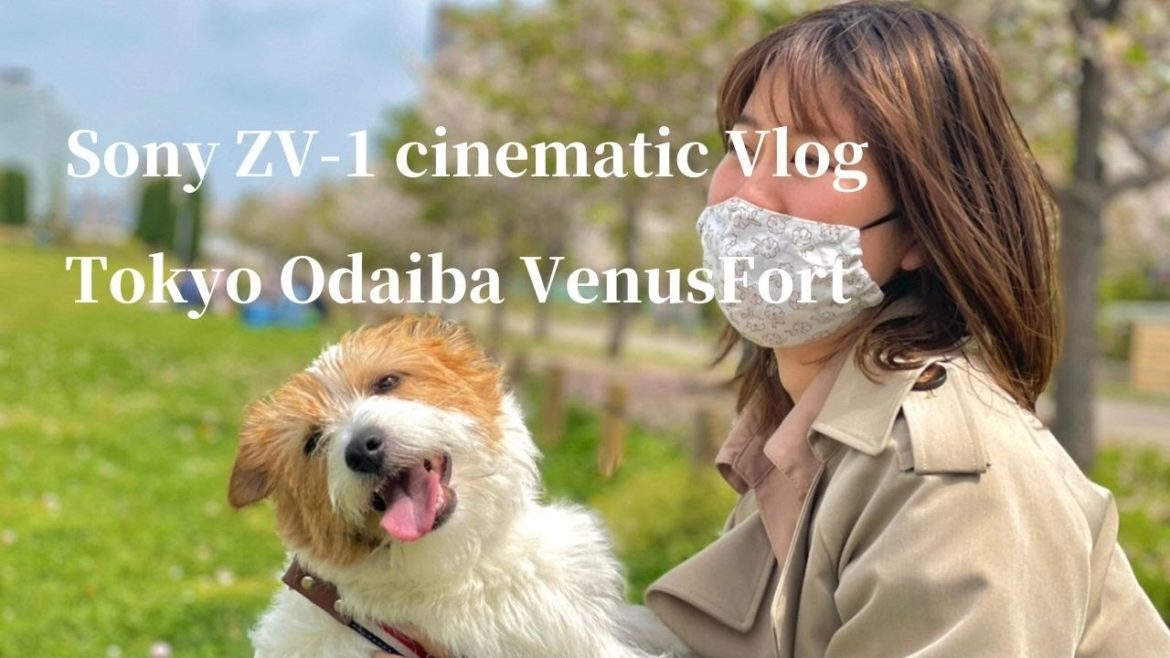 お台場デートをシネマティックVlogに【Tokyo Odaiba walk Sony ZV-1 cinematic Vlog】