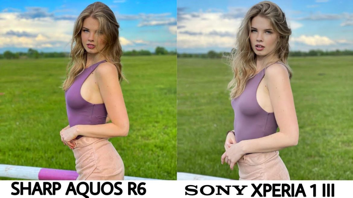SHARP Aquos R6 vs Sony Xperia 1 III Camera Test
