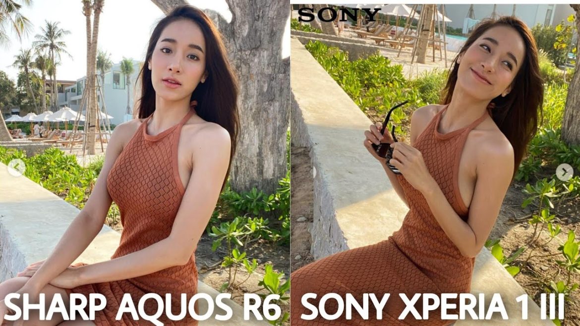 Sharp Aquos R6 VS Sony Xperia 1 III Camera Comparison