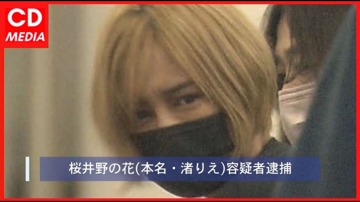 【速報】  桜井野の花(本名・渚りえ)Youtuber逮捕 無許可営業の疑い #ChuDuMedia