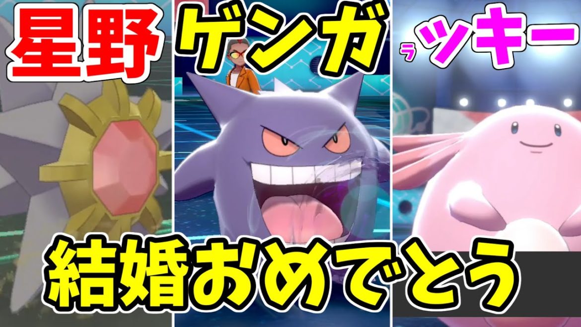 【ポケモン剣盾】星野源さん、新垣結衣さん　ご結婚おめでとうございます！『星野源/ガッキー構築』でお祝いします！！