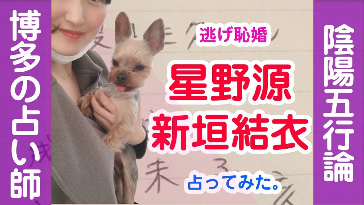 【逃げ恥婚】星野源さん＆新垣結衣さんを博多の占い師が陰陽五行論で紐解きました。