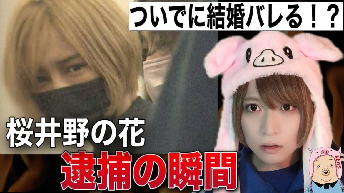 【桜井野の花　逮捕】無許可でキャバクラ営業！年齢、結婚歴？がバレてしまうw【カリスマキャバ嬢　エンリケ　風営法違反】