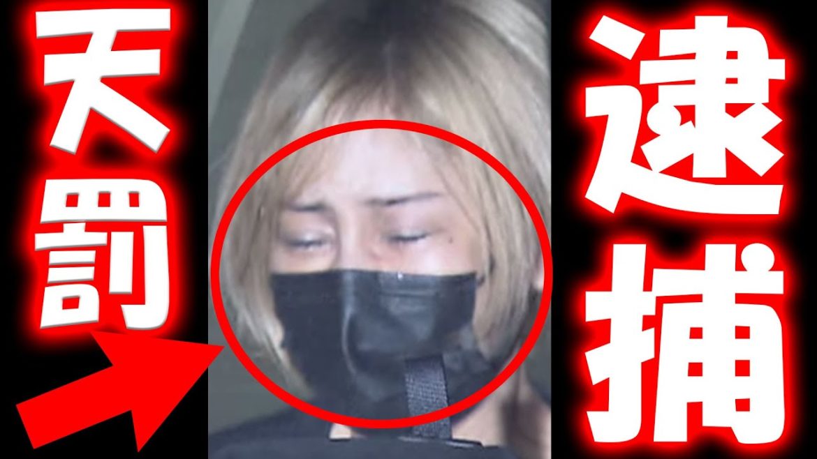 【衝撃】桜井野の花が逮捕された理由がヤバ過ぎる！カリスマキャバ嬢 エンリケ 整形 ホスト さくらいののか 渚りえ 容疑者 桜花 桜音 かのん