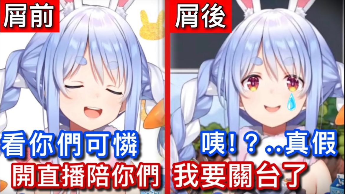 想安慰(嘲諷)失去新垣結衣的野兔，結果被反殺、難過到想直接關台【hololive 中文】【兔田佩克拉】