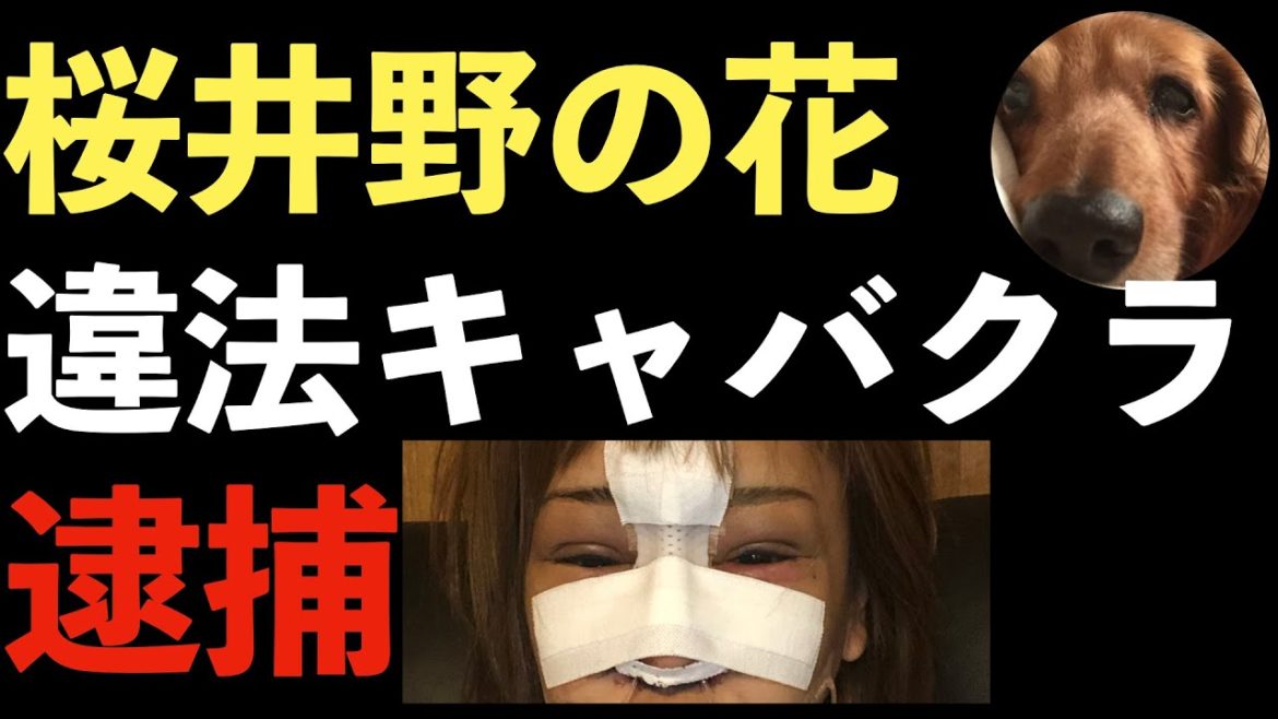 桜井野の花、違法キャバクラ営業で逮捕！最低なキャバ嬢！エンリケの財布を盗みクレジットカードを不正利用！【Masaニュース雑談】
