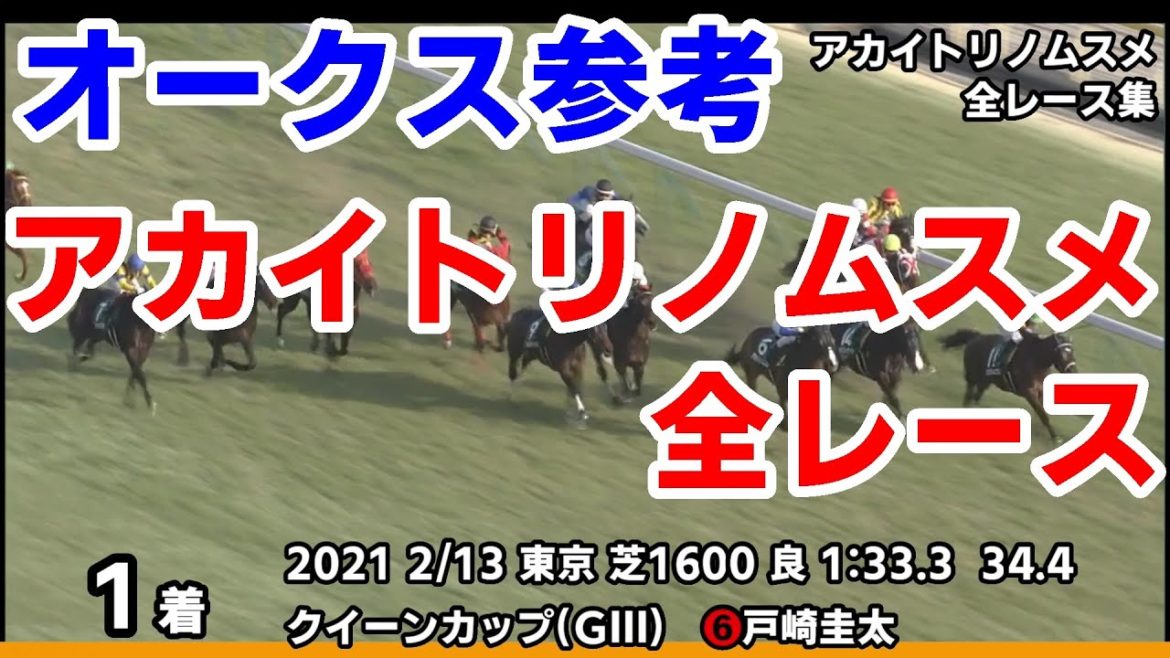 【優駿牝馬オークス2021予想参考】アカイトリノムスメ全レース集~桜花賞2021【パドック競馬】