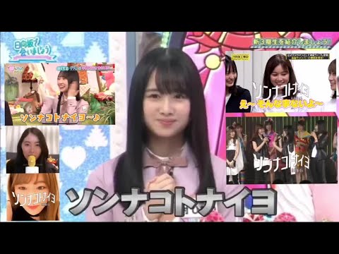 日 向坂 46 ちょっと いい です か