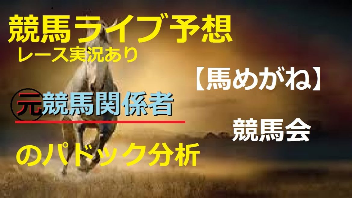 【競馬ライブ】元競馬関係者のパドック分析
