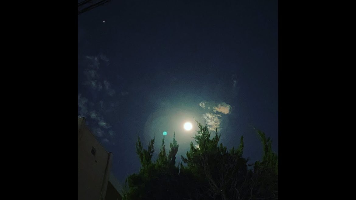 210519 ＳＨＯＰ２３６・ライブカメラ #fukuoka #japan #福岡 #イマソラ #livecamera #weather #bgm #live #休憩 #relax