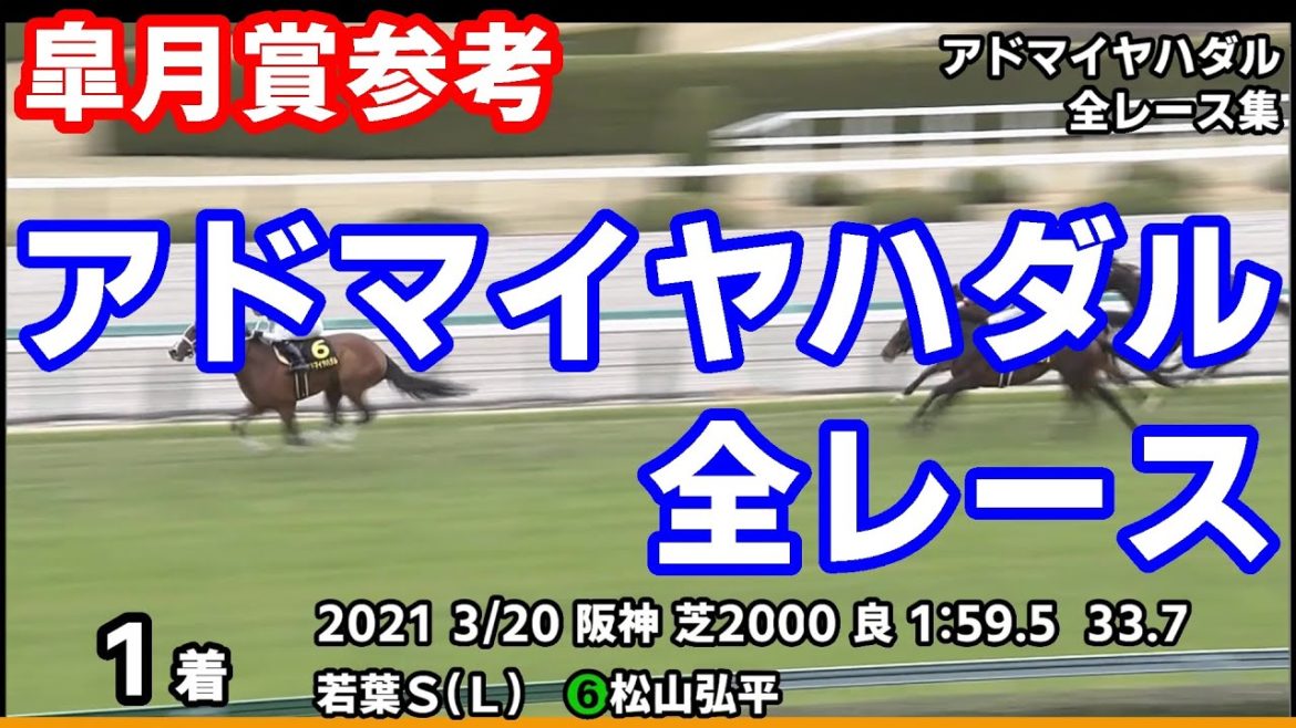 【皐月賞2021予想参考】アドマイヤハダル全レース集~若葉ステークス2021【パドック競馬】