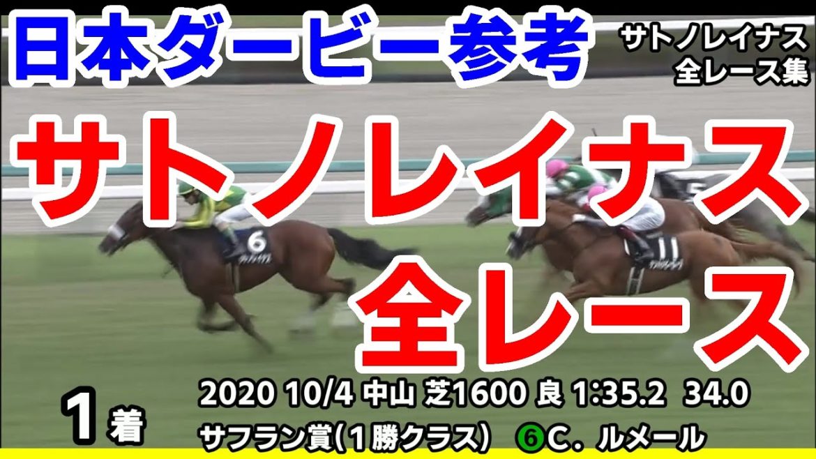 【東京優駿(日本ダービー)2021予想参考】サトノレイナス全レース集~桜花賞2021【パドック競馬】