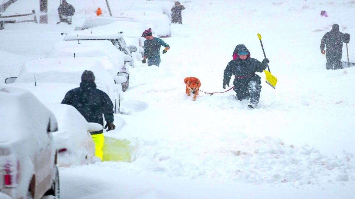 New Year's snow in Japan. Record snowstorm. / Natural Disasters. Bad Weather and Сlimate