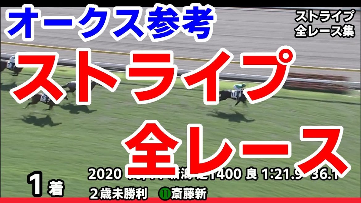 【優駿牝馬オークス2021予想参考】ストライプ全レース集~桜花賞2021【パドック競馬】