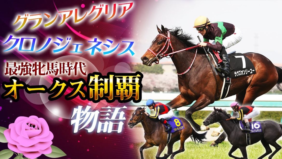 【無敗のオークス馬】ラヴズオンリーユーの物語【競馬】（ハイライト・全レース）オークス・優駿牝馬・京都記念・QE2世C・ミルコデムーロ・ディープインパクト・ＤＭＭドリームクラブ