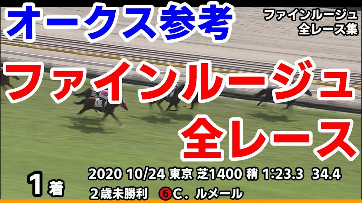 【優駿牝馬オークス2021予想参考】ファインルージュ全レース集~桜花賞2021【パドック競馬】