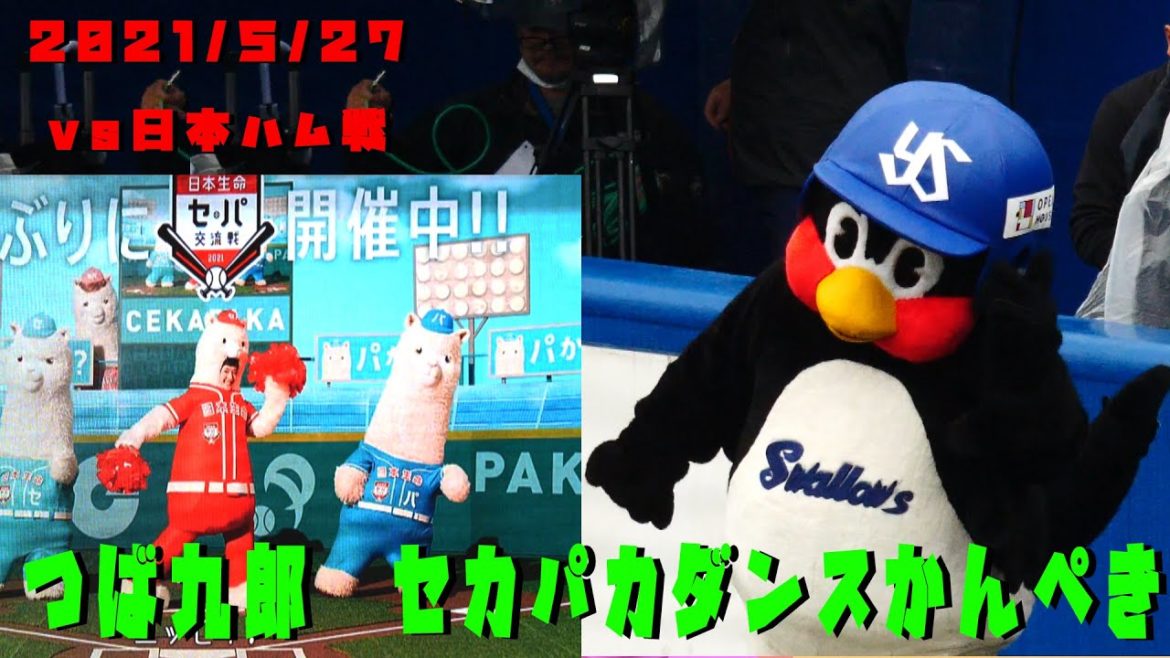 つば九郎 綾瀬はるかのセカパカダンス かんぺき 2021/5/27 vs日本ハム つば九郎 綾瀬はるかのセカパカダンス かんぺき 2021/5/27 vs日本ハム