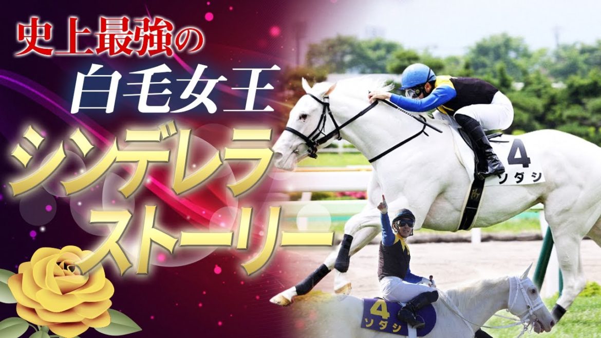 【無敗の白毛女王】ソダシの物語【競馬】（ハイライト・全レース）白毛・オークス・桜花賞・金子真人・吉田隼人・白毛一族・ブチコ