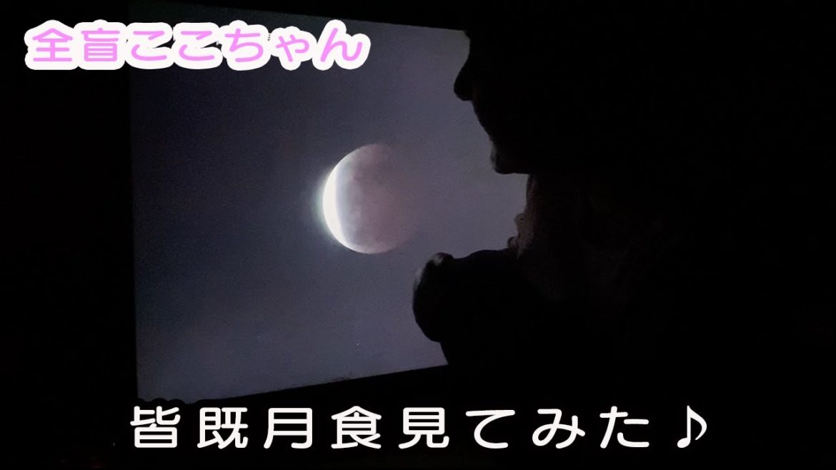 【視覚障がい児】皆既月食見てみた♪