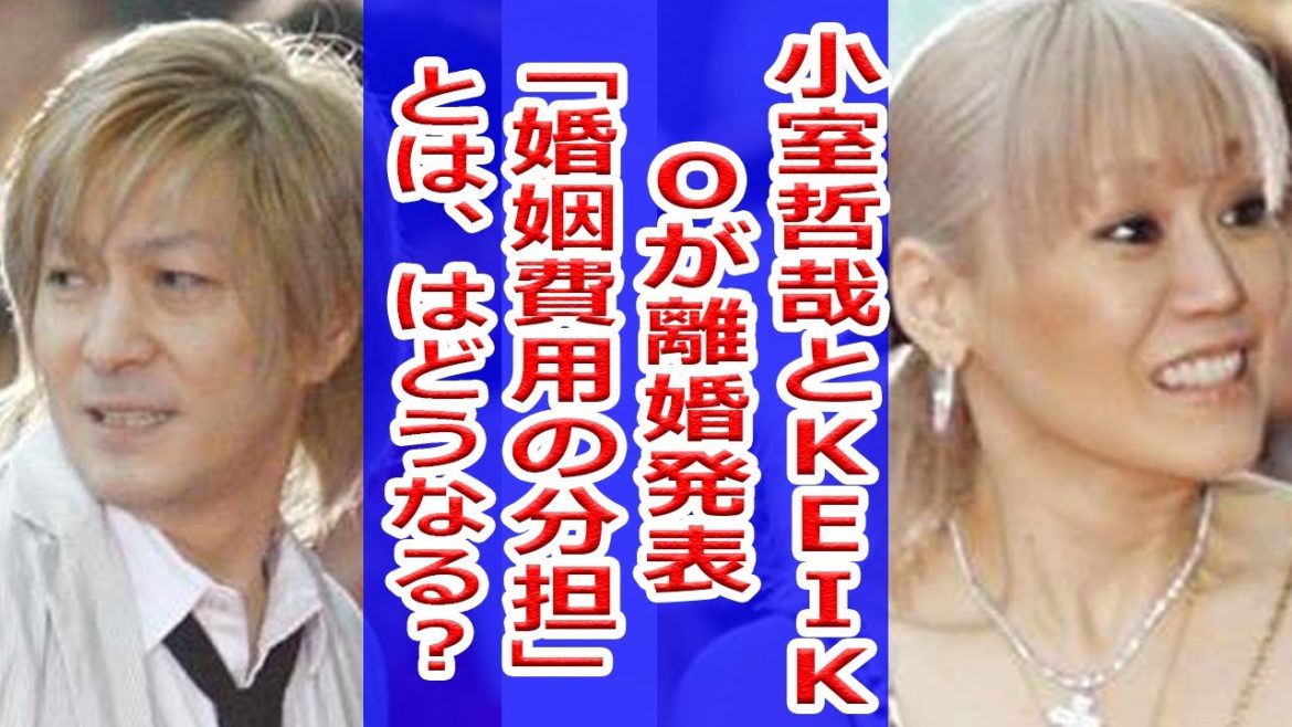 小室哲哉さんとＫＥＩＫＯさんが離婚発表～「婚姻費用の分担」とは、「へそくり」はどうなる？