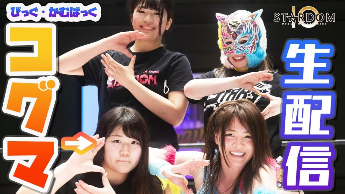 【生配信】5/29（土）14時～コグマ初登場！岩谷麻優＆キッドのSTARSあいこん＆空虎らいぶ【#STARDOM】