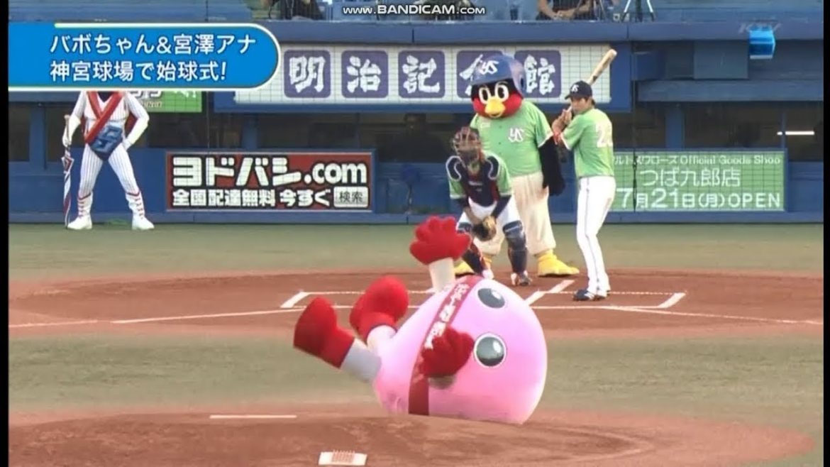 2014プロ野球　バボちゃん始球式