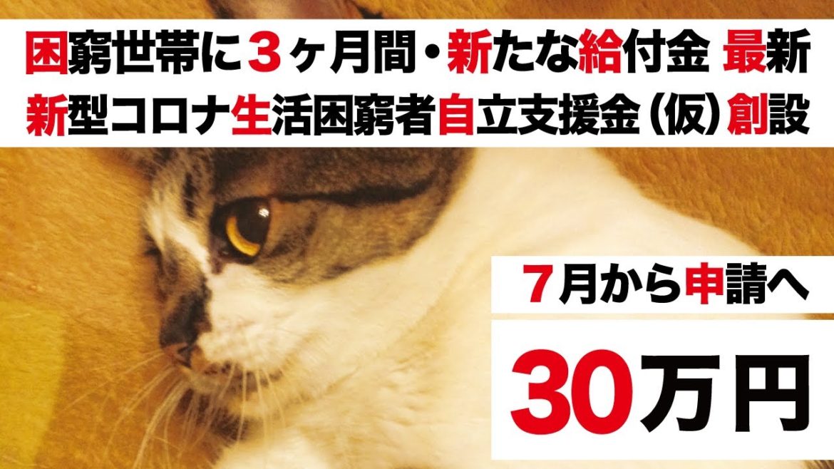 7月から新給付金 最新情報【新型コロナ生活困窮者自立支援金（仮称）創設】困窮世帯支援 最大30万円「申請条件など 解説」【総合支援資金 生活保護 10万円給付】